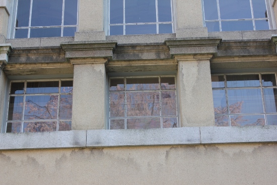 1847-12.4.7祇園枝垂桜　外側から正面玄関ガラスに映る.jpg